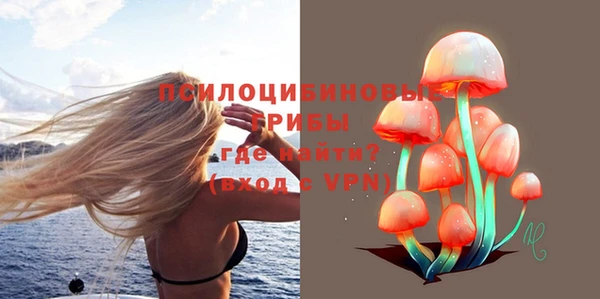 бутират Каменск-Шахтинский