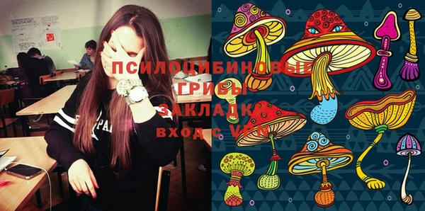 спайс Каменногорск