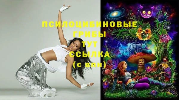 2c-b Каменка